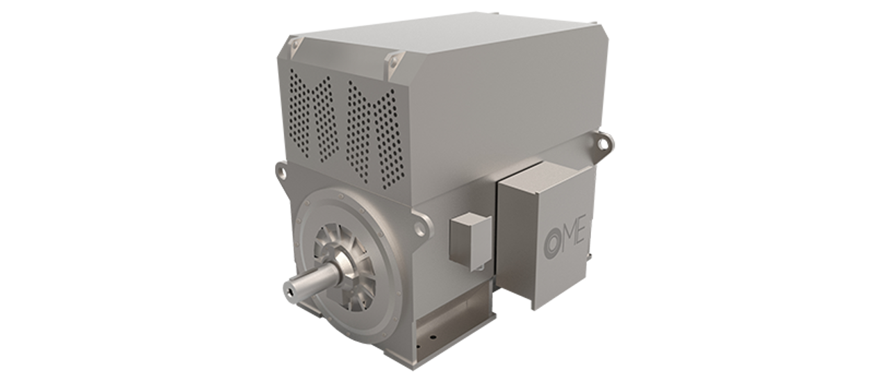 High Voltage Motors | OMVKS (IC81W)