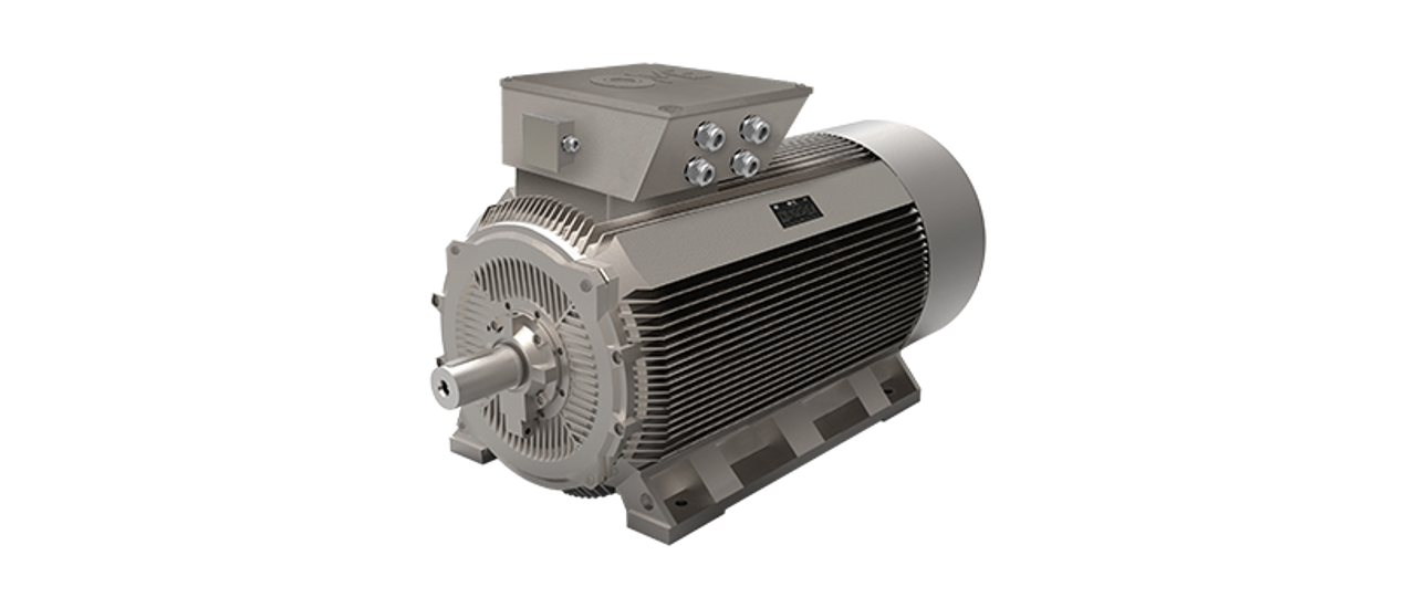 Permanent Magnet Motors