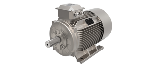Standard Motors